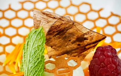 Escuela de Repostería en Cantabria